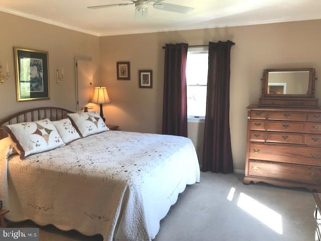 206 Cove Road Queenstown, MD 21658 - Photo 18 of 29 Master Bedroom