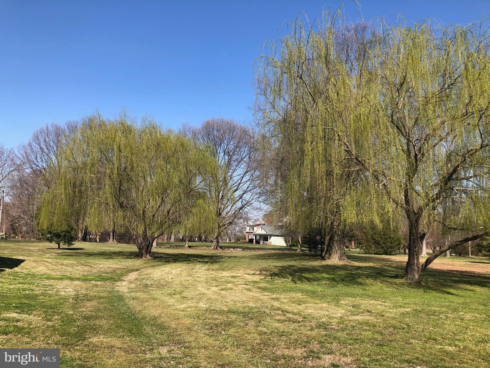 206 Cove Road Queenstown, MD 21658 - Photo 24 of 29 Spring has Sprung!