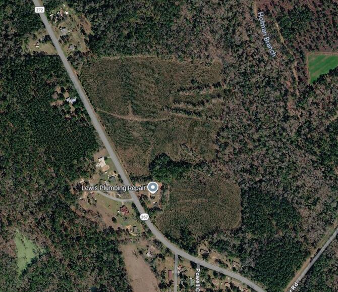 0 Bainbridge Rd Highway Quincy, FL 32352 - Photo 4 of 4 a view of a yard