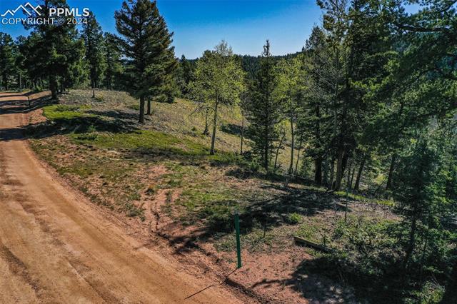 1100 Elk Ridge South Divide, CO 80814 - Photo 34 of 34