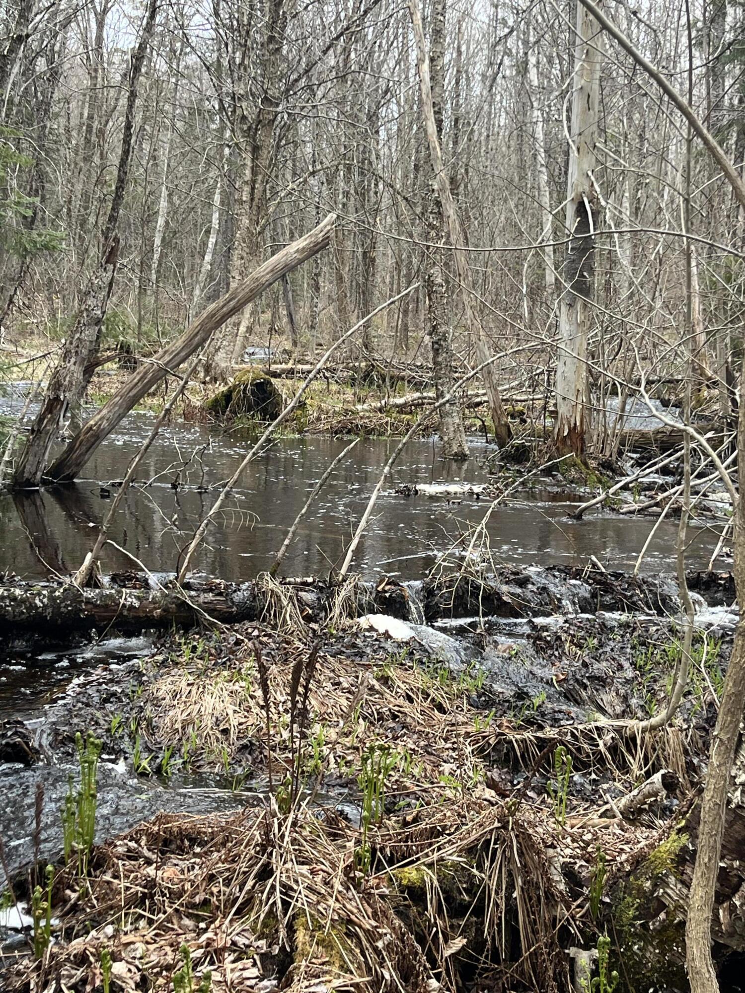 M6-l16 Meadowbrook Road Amity, ME 04471 - Photo 5 of 9