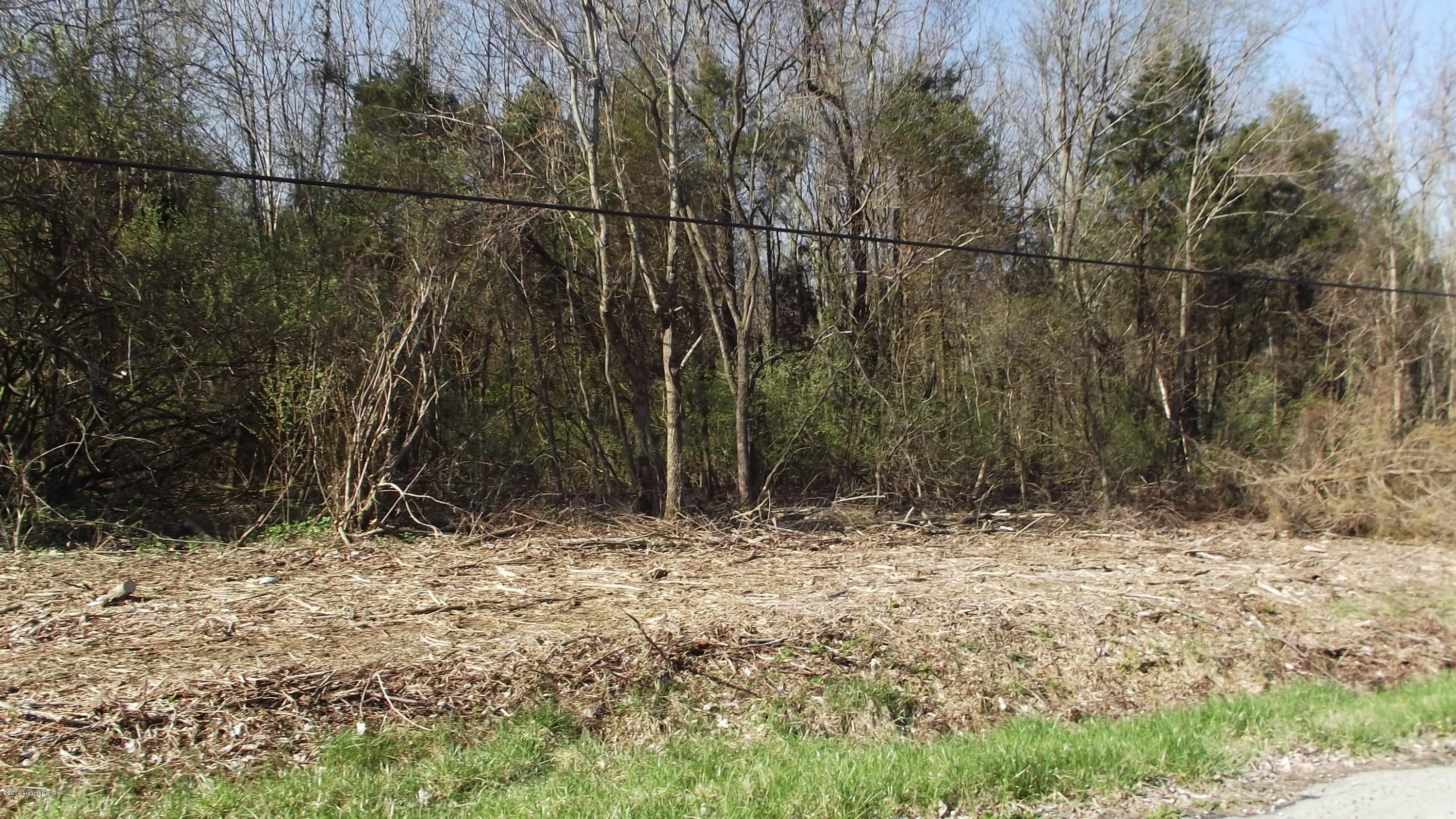 0 Wolf-Pen Road Pendleton, KY 40055 - Photo 2 of 5 DSCF4295