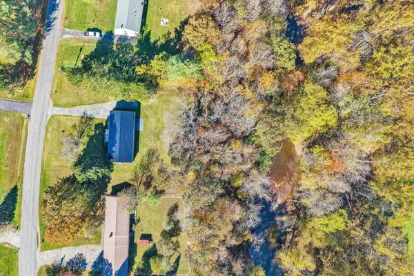 a close up of a plant