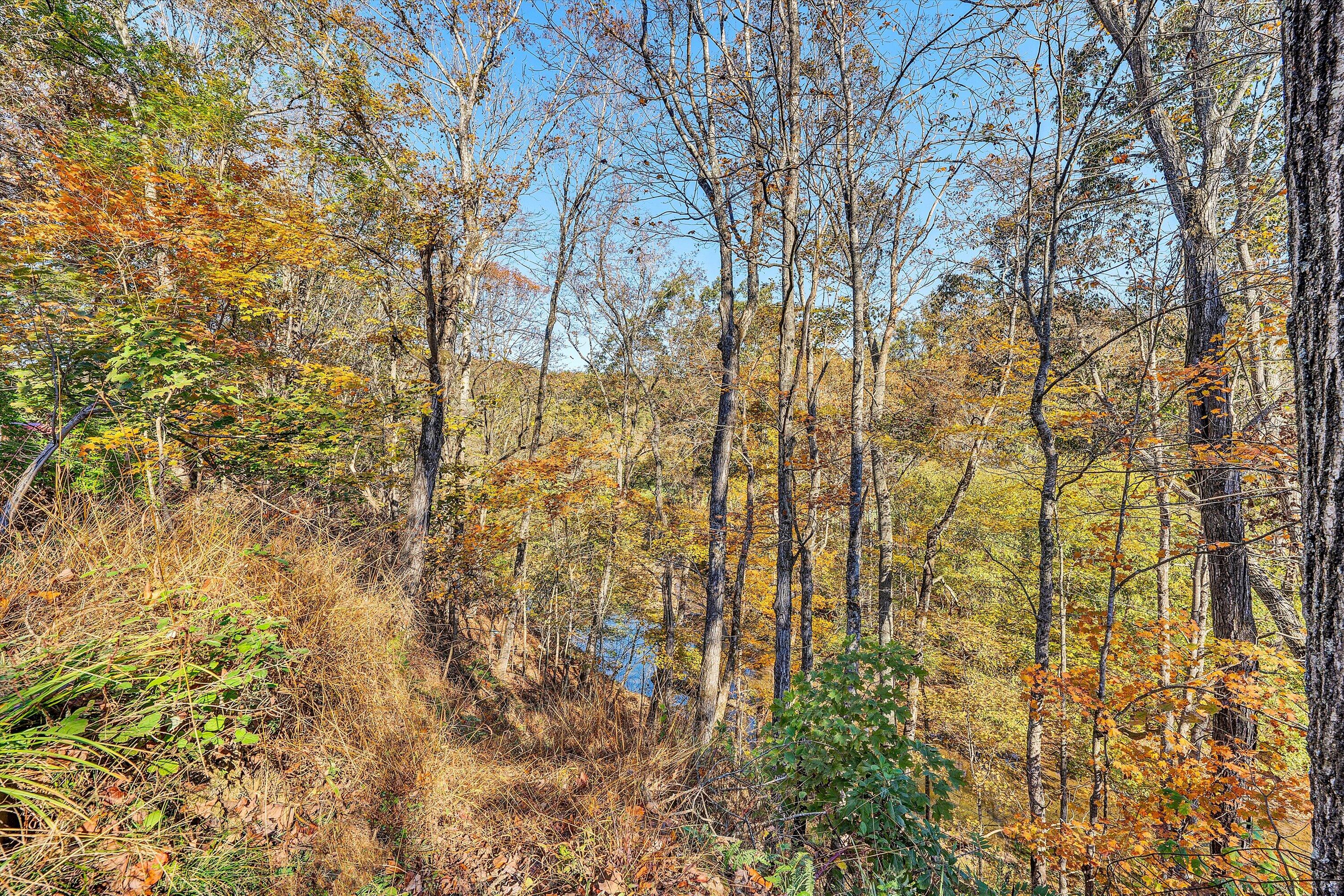 304 Broken Arrow Lane Covington, VA 24426 - Photo 45 of 46 a view of a yard with a tree