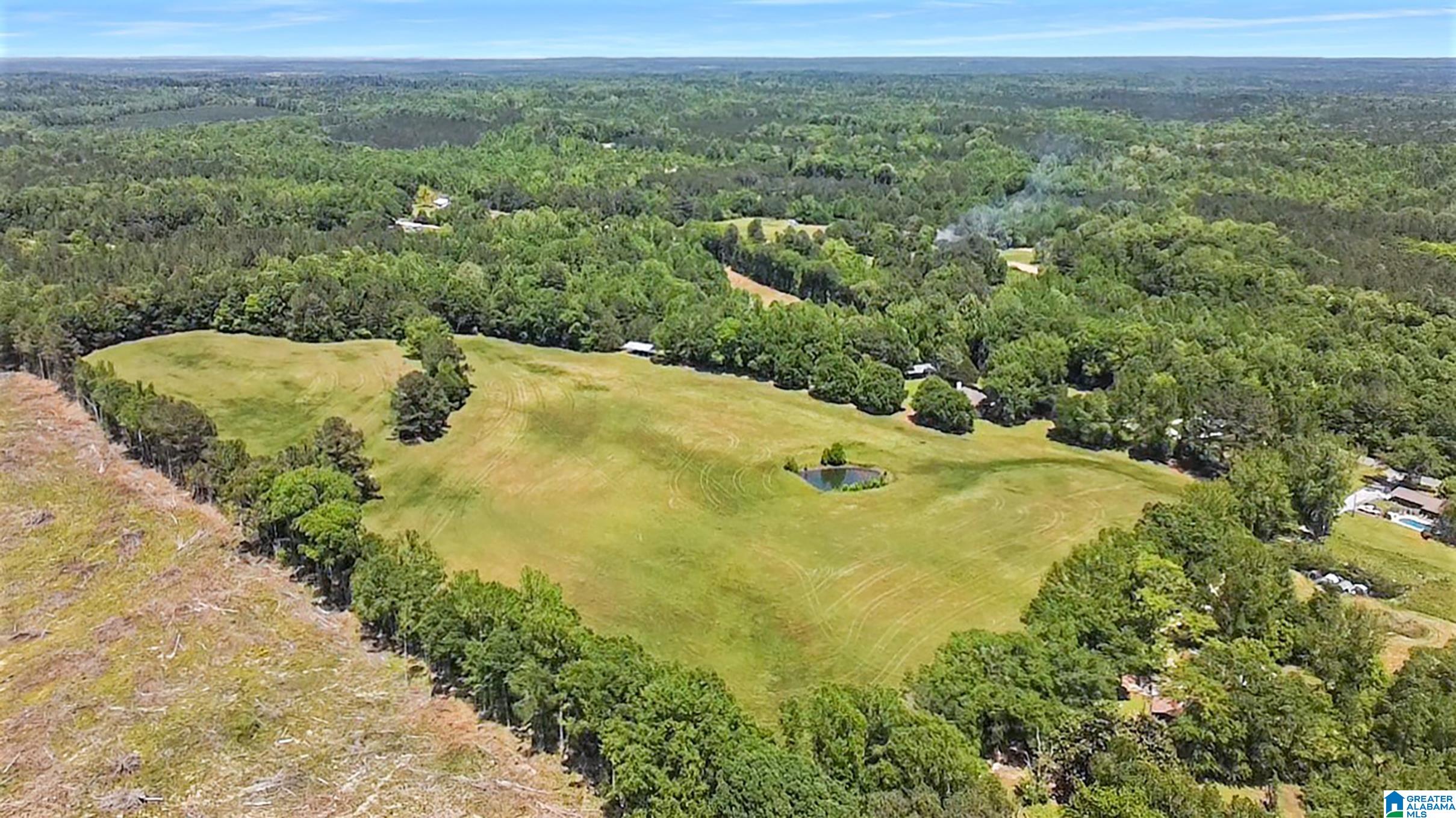 5133 Highway 36 Randolph Al Randolph, AL 36792 - Photo 30 of 36