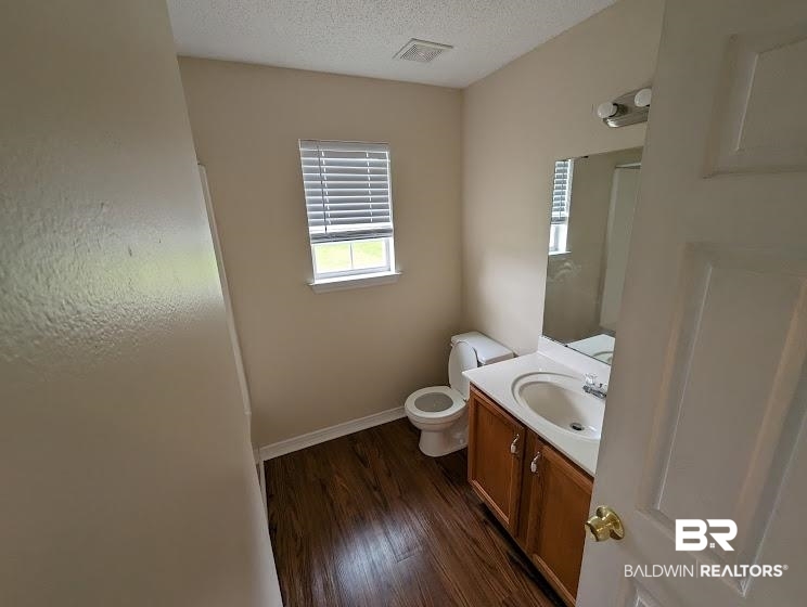 12971 Labradors Run Foley, AL 36535 - Photo 13 of 23 Bathroom featuring wood-finish flooring, a single window with blinds, a vanity with a white countertop and integrated sink, a built-in mirror, and a flush-mount light fixture