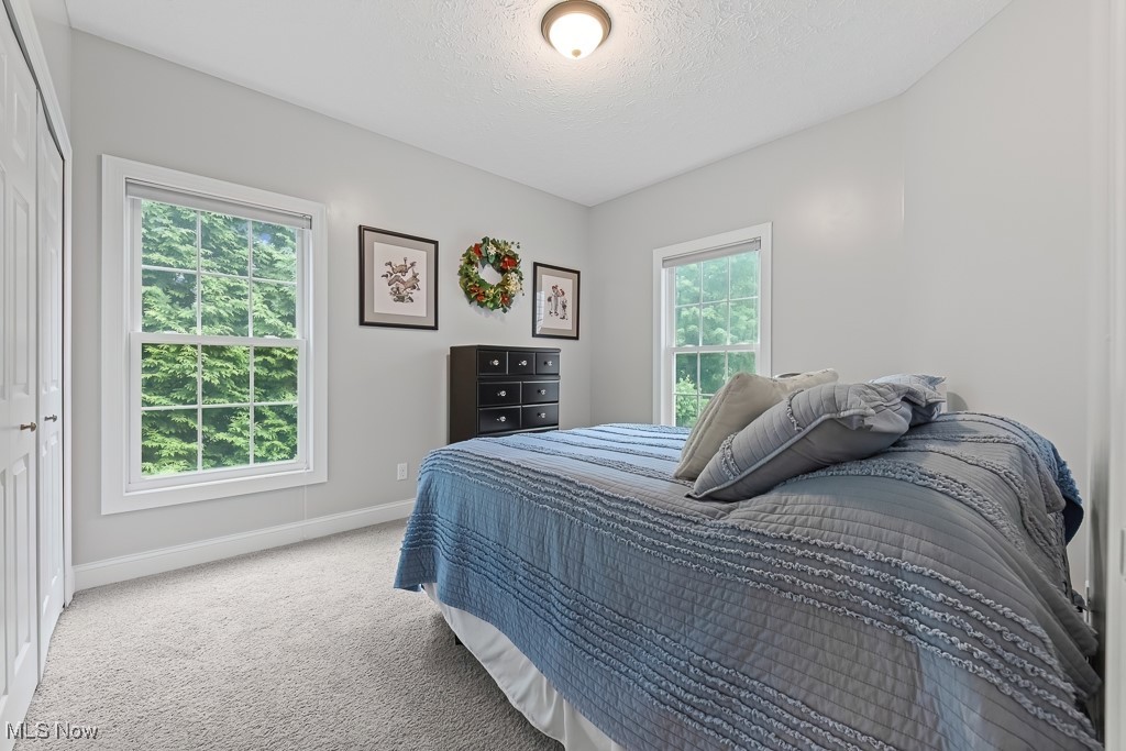369 Eldridge Road Aurora, OH 44202 - Photo 19 of 50 Bedroom featuring carpet and a textured ceiling