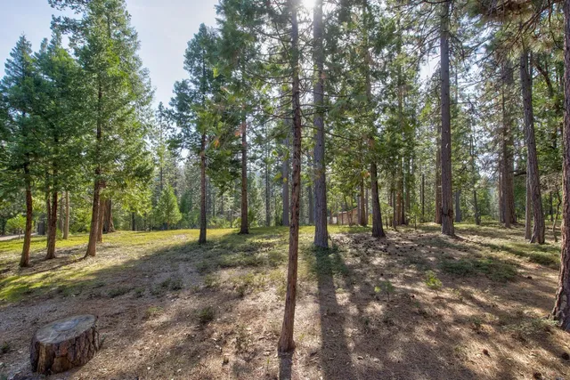 $449,900 | 1919 Airacobra Avenue, Arnold, CA 95223