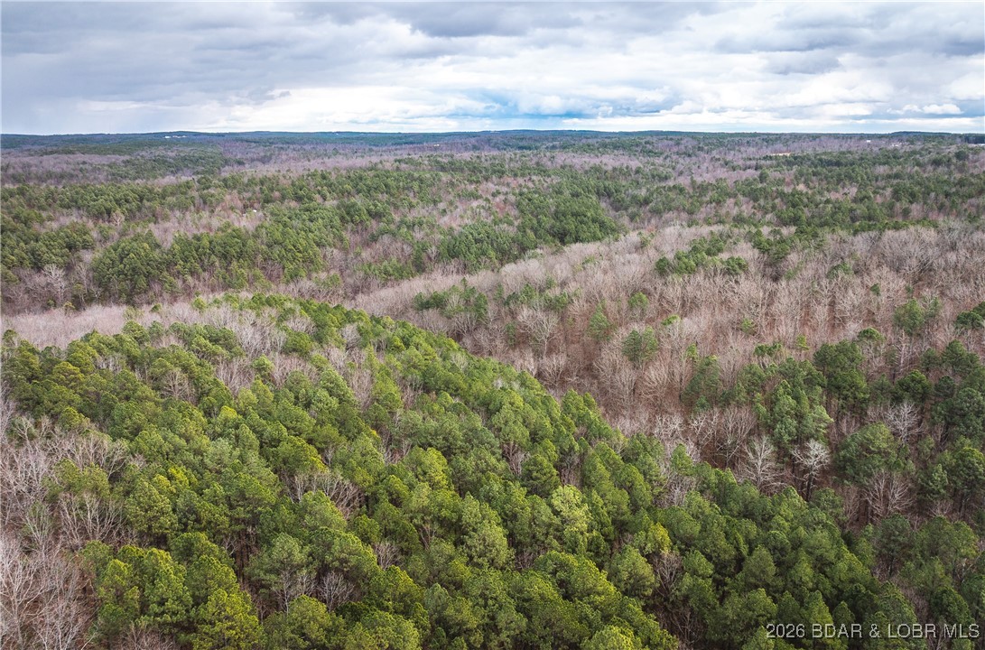 62.90-tbd Slaughter Road Licking, MO 65542 - Photo 11 of 39