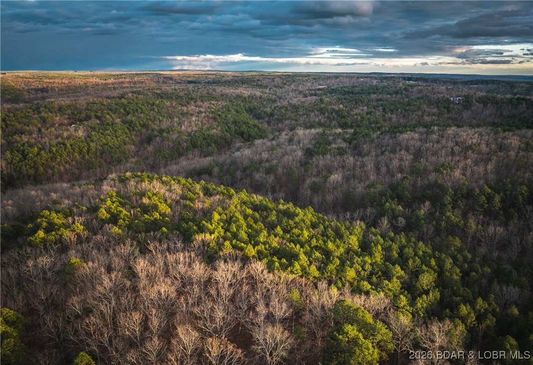 62.90-tbd Slaughter Road Licking, MO 65542 - Photo 12 of 39