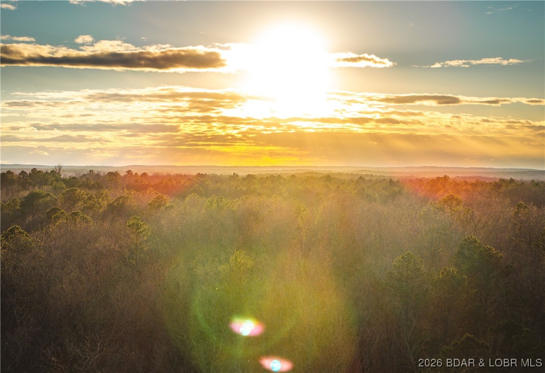 62.90-tbd Slaughter Road Licking, MO 65542 - Photo 13 of 39