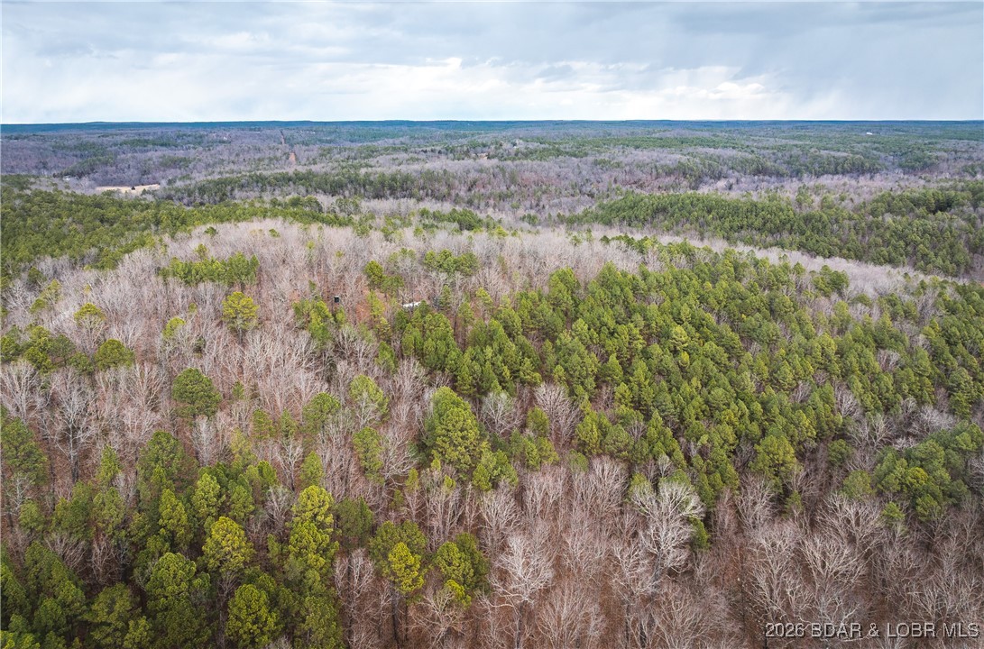 62.90-tbd Slaughter Road Licking, MO 65542 - Photo 2 of 39
