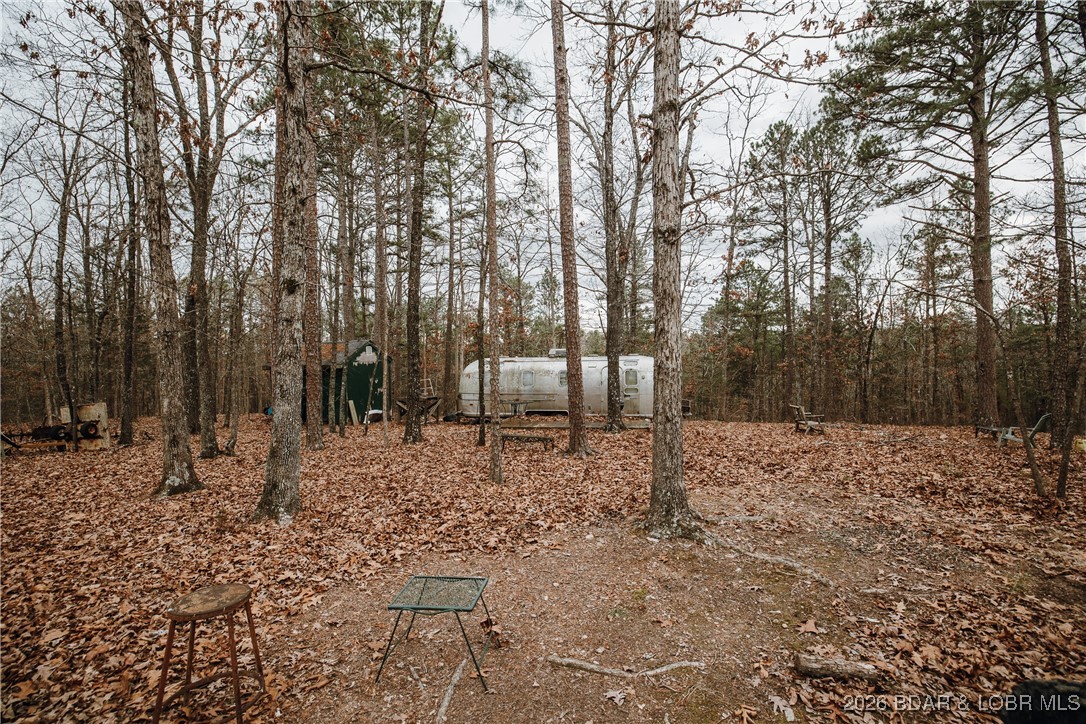 62.90-tbd Slaughter Road Licking, MO 65542 - Photo 21 of 39