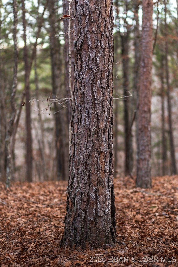 62.90-tbd Slaughter Road Licking, MO 65542 - Photo 23 of 39