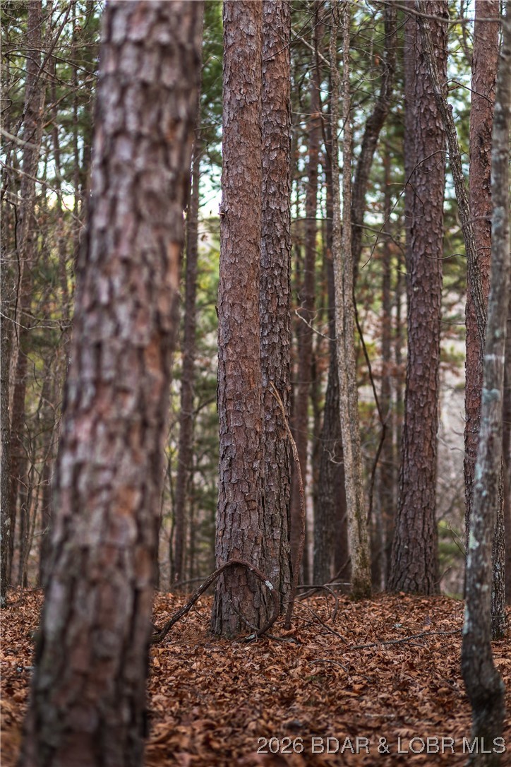 62.90-tbd Slaughter Road Licking, MO 65542 - Photo 24 of 39