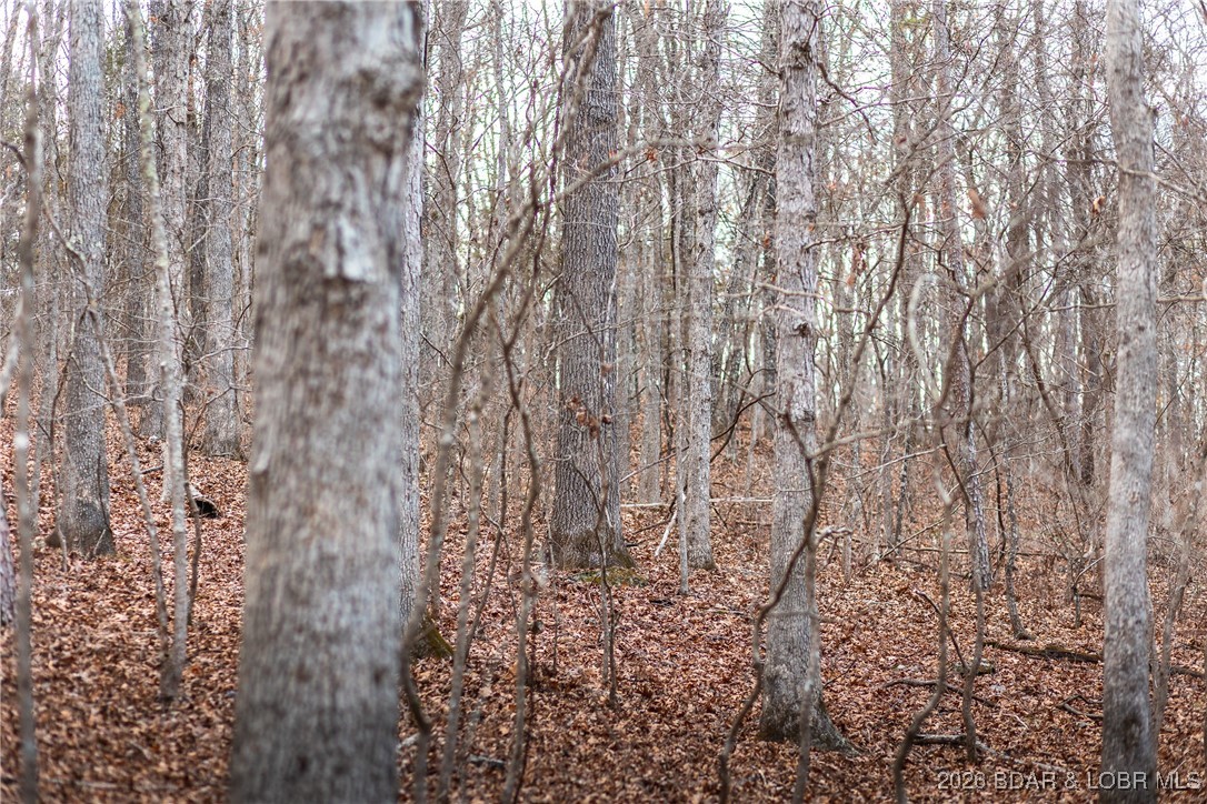 62.90-tbd Slaughter Road Licking, MO 65542 - Photo 26 of 39