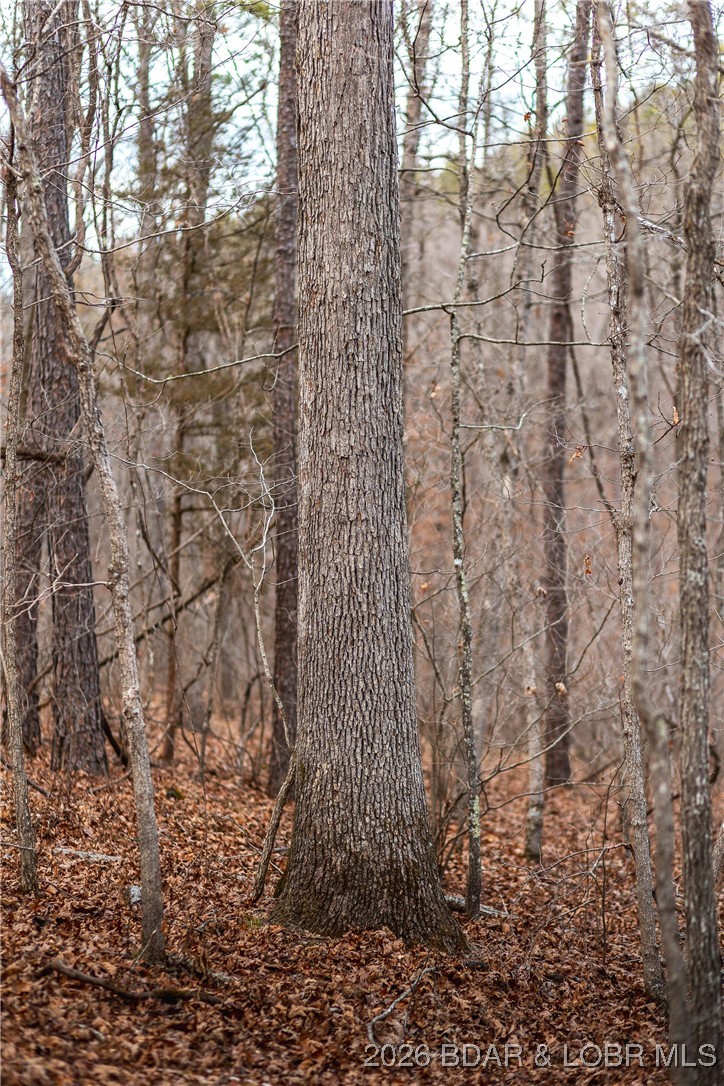 62.90-tbd Slaughter Road Licking, MO 65542 - Photo 27 of 39