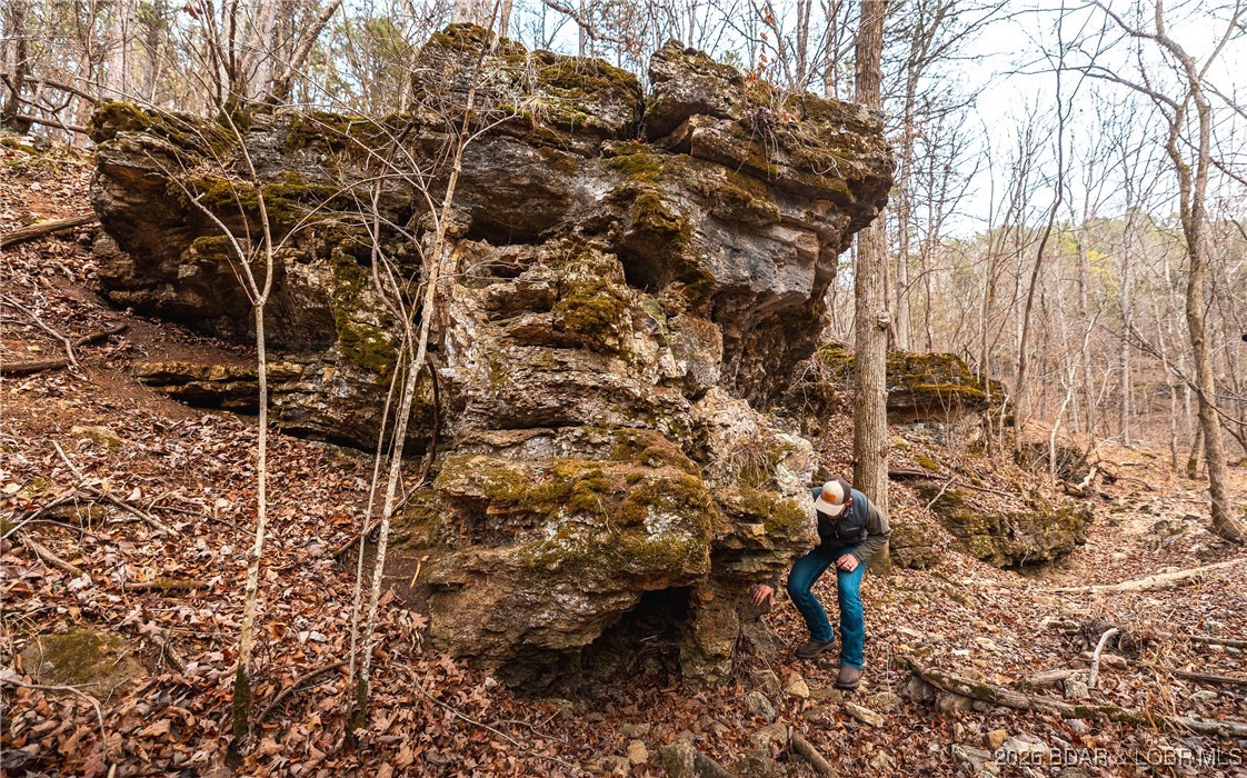 62.90-tbd Slaughter Road Licking, MO 65542 - Photo 28 of 39