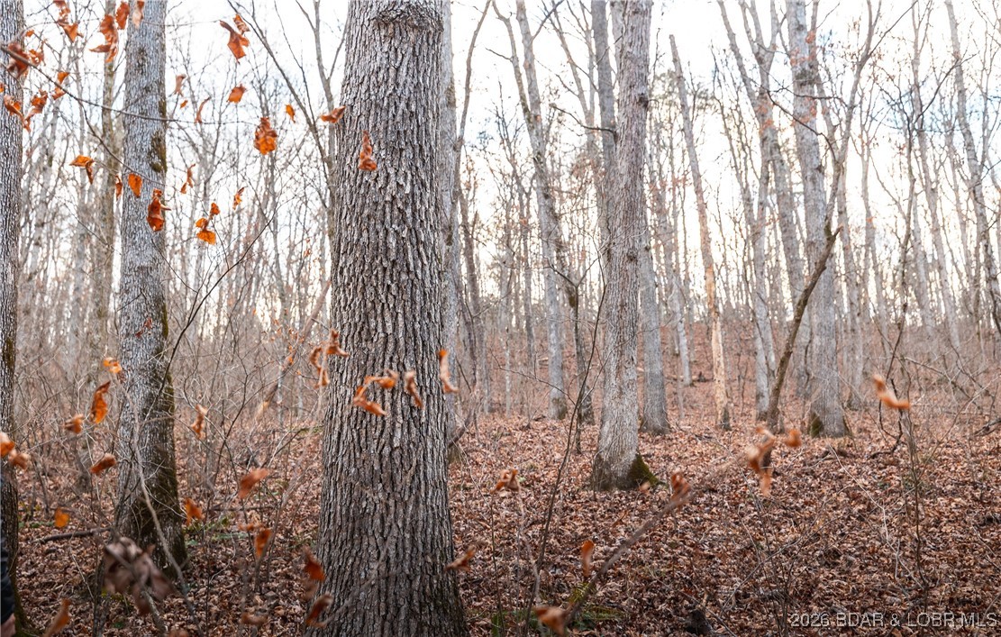 62.90-tbd Slaughter Road Licking, MO 65542 - Photo 30 of 39