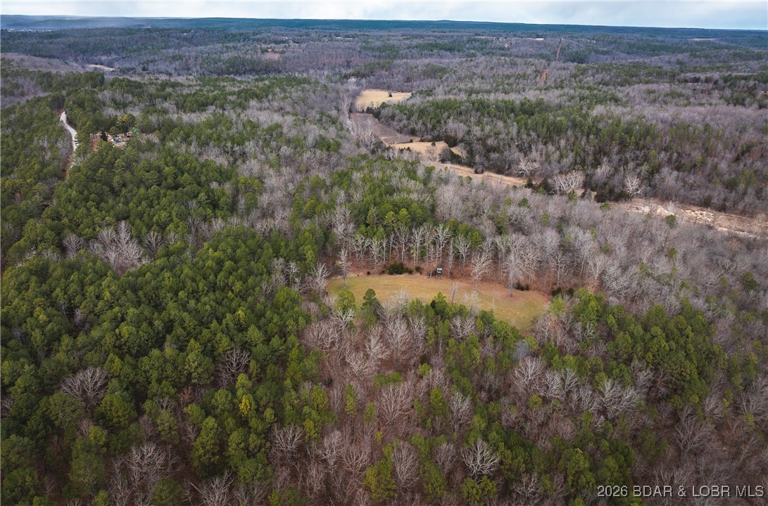 62.90-tbd Slaughter Road Licking, MO 65542 - Photo 3 of 39
