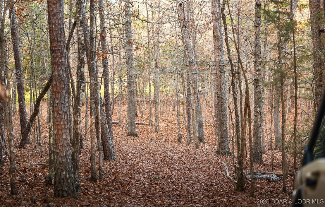 62.90-tbd Slaughter Road Licking, MO 65542 - Photo 34 of 39