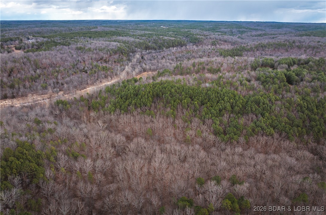 62.90-tbd Slaughter Road Licking, MO 65542 - Photo 4 of 39