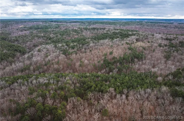 $191,845 | 62.90-tbd Slaughter Road, Licking, MO 65542