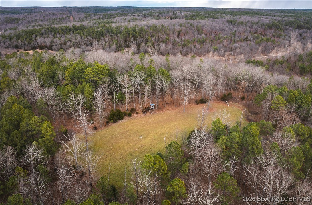 62.90-tbd Slaughter Road Licking, MO 65542 - Photo 10 of 39