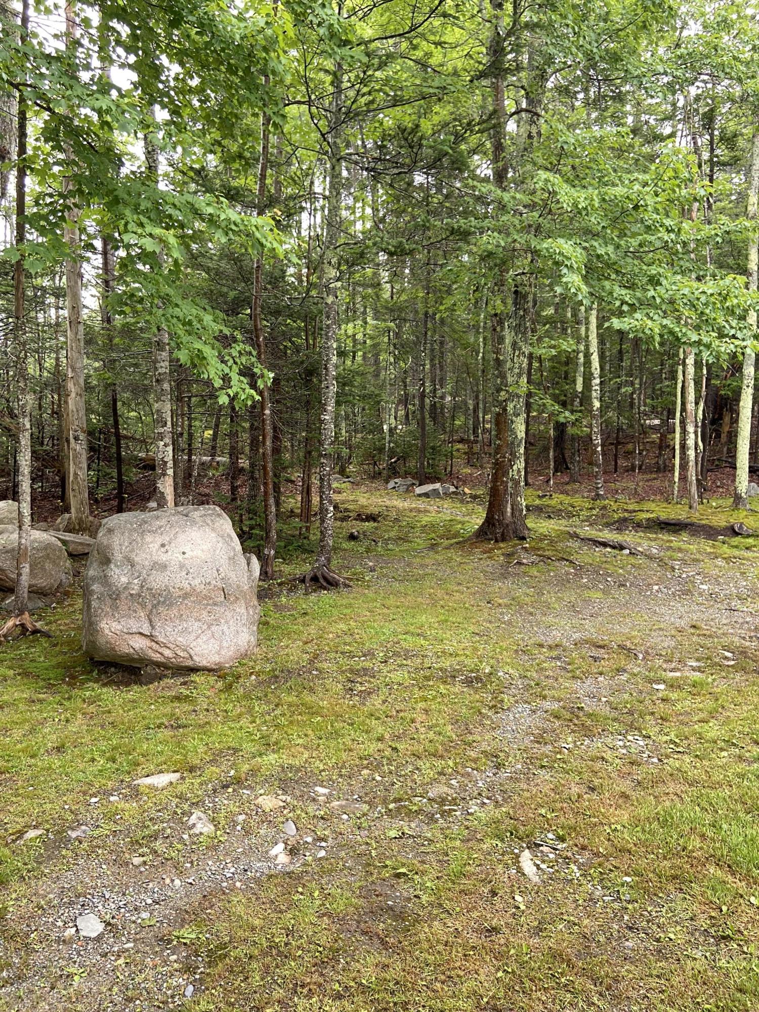 25 Millbrook Road Northeast Harbor, ME 04662 - Photo 27 of 31 Backyard