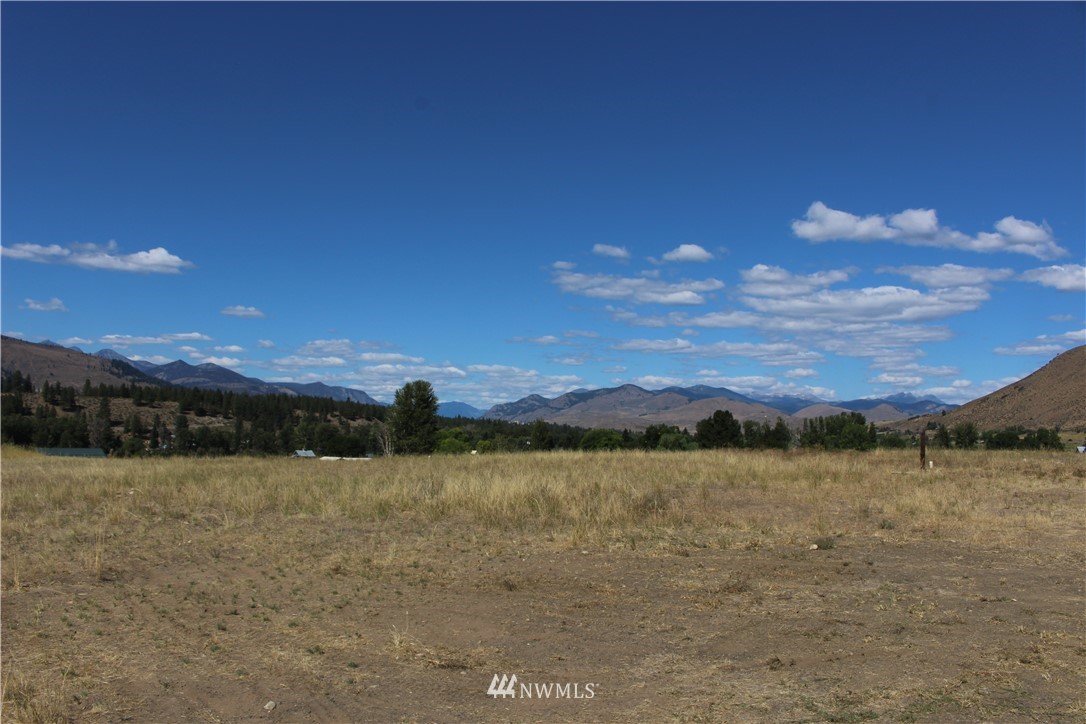 659 Twisp-Winthrop Eastside Road Winthrop, WA 98862 - Photo 1 of 22 Gallery Image 1