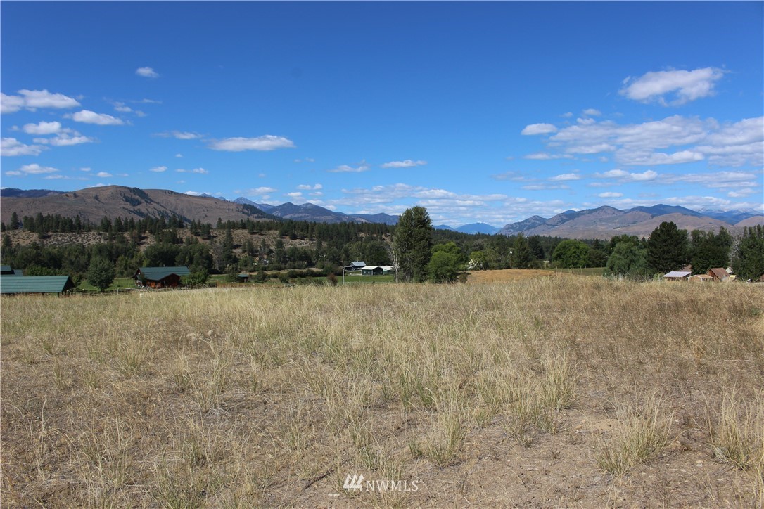 659 Twisp-Winthrop Eastside Road Winthrop, WA 98862 - Photo 2 of 22 Gallery Image 2