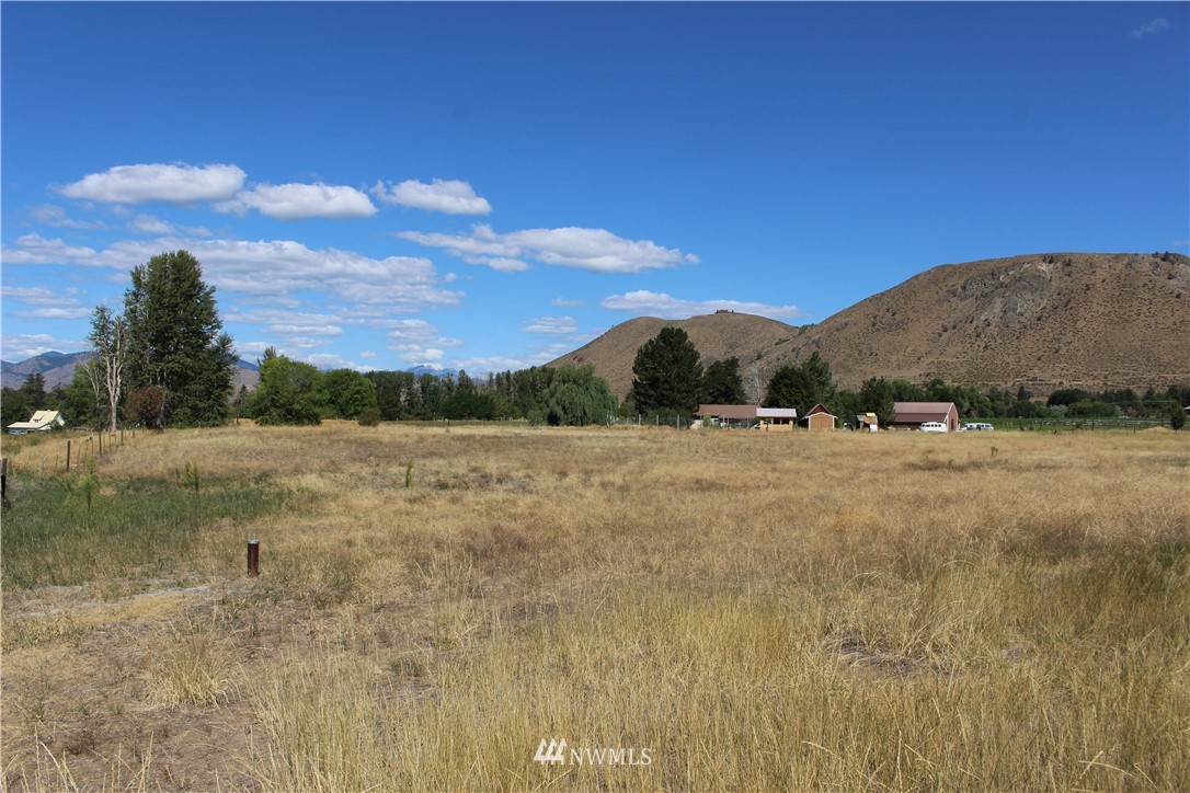 659 Twisp-Winthrop Eastside Road Winthrop, WA 98862 - Photo 14 of 22 Gallery Image 14