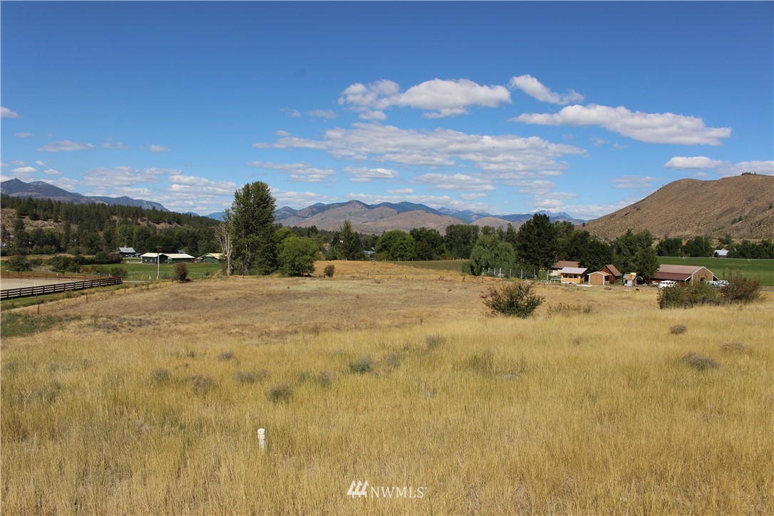 659 Twisp-Winthrop Eastside Road Winthrop, WA 98862 - Photo 16 of 22 Gallery Image 16