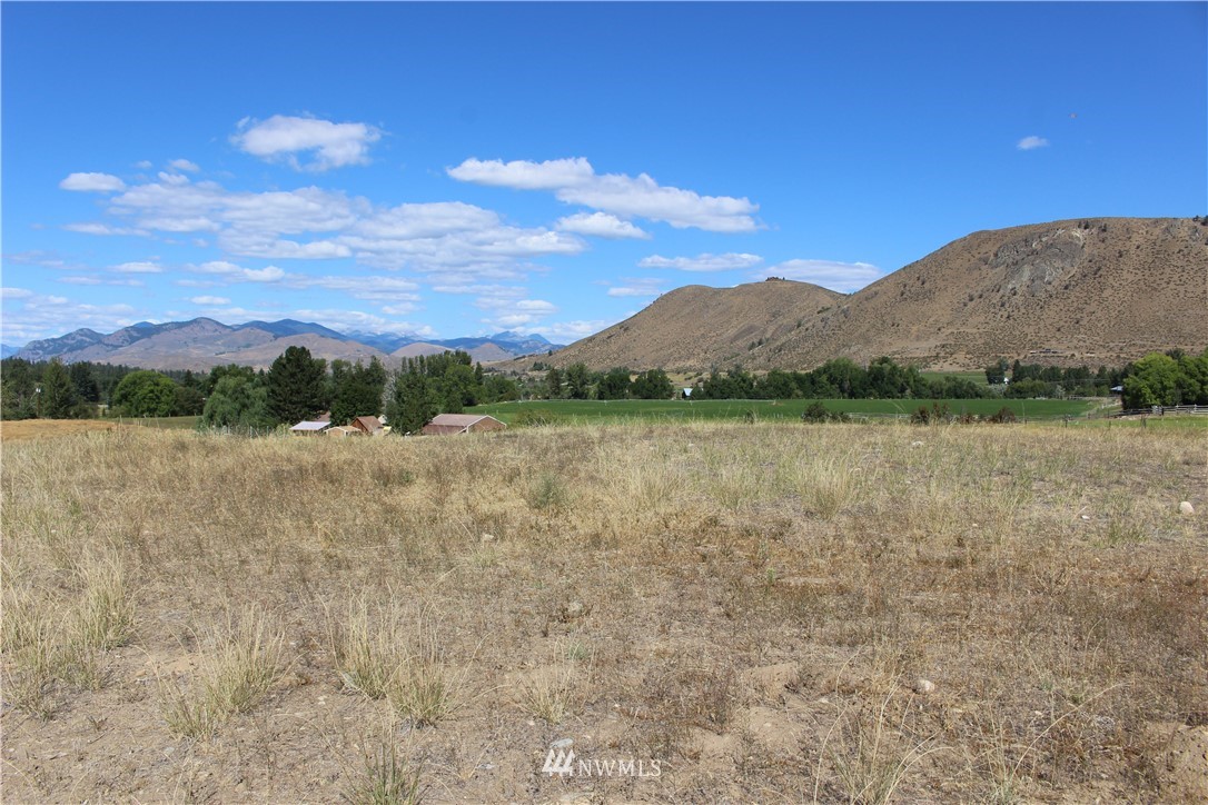 659 Twisp-Winthrop Eastside Road Winthrop, WA 98862 - Photo 19 of 22 Gallery Image 19