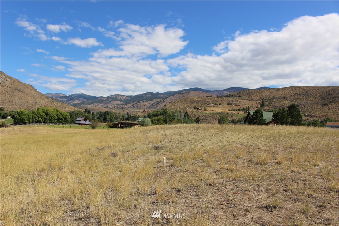 659 Twisp-Winthrop Eastside Road Winthrop, WA 98862 - Photo 20 of 22 Gallery Image 20