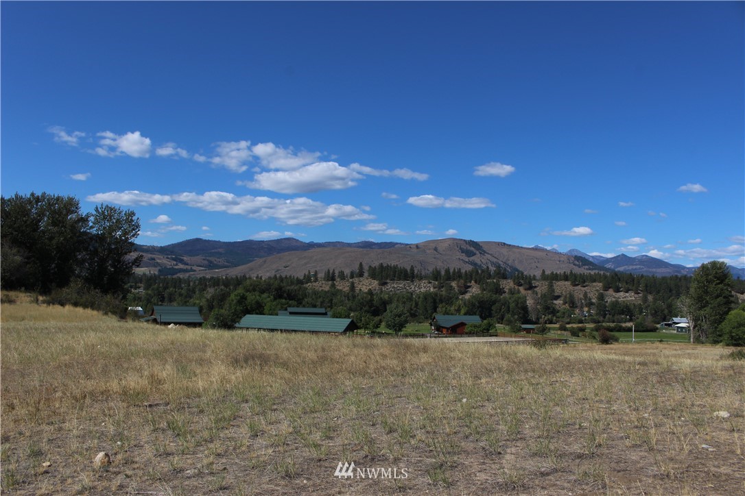 659 Twisp-Winthrop Eastside Road Winthrop, WA 98862 - Photo 3 of 22 Gallery Image 3