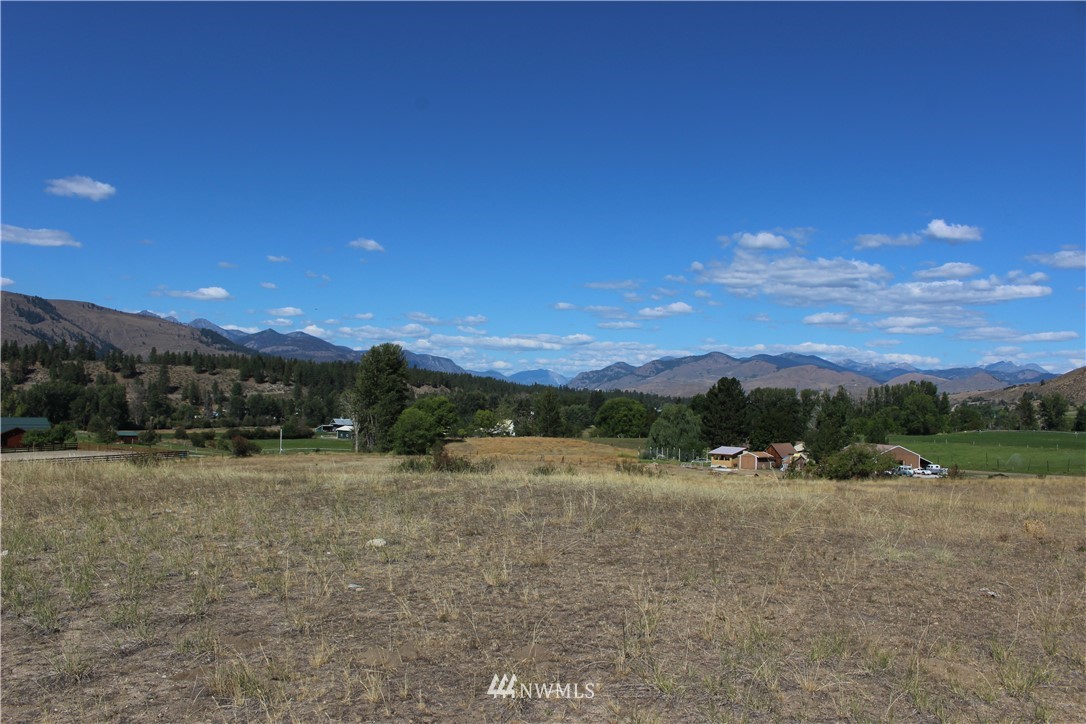 659 Twisp-Winthrop Eastside Road Winthrop, WA 98862 - Photo 4 of 22 Gallery Image 4