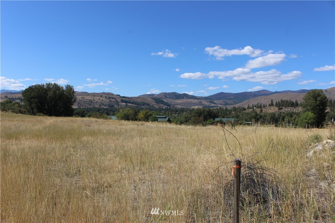 659 Twisp-Winthrop Eastside Road Winthrop, WA 98862 - Photo 6 of 22 Gallery Image 6