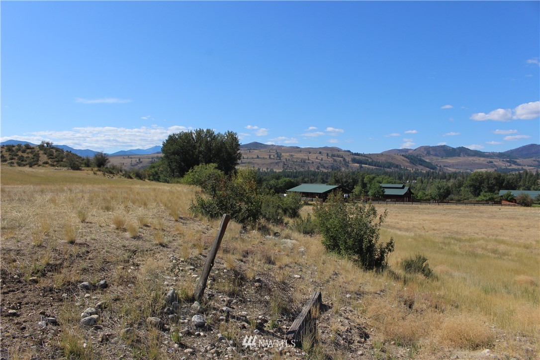 659 Twisp-Winthrop Eastside Road Winthrop, WA 98862 - Photo 7 of 22 Gallery Image 7