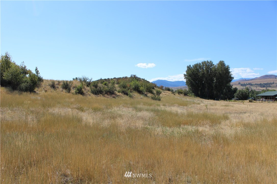 659 Twisp-Winthrop Eastside Road Winthrop, WA 98862 - Photo 9 of 22 Gallery Image 9