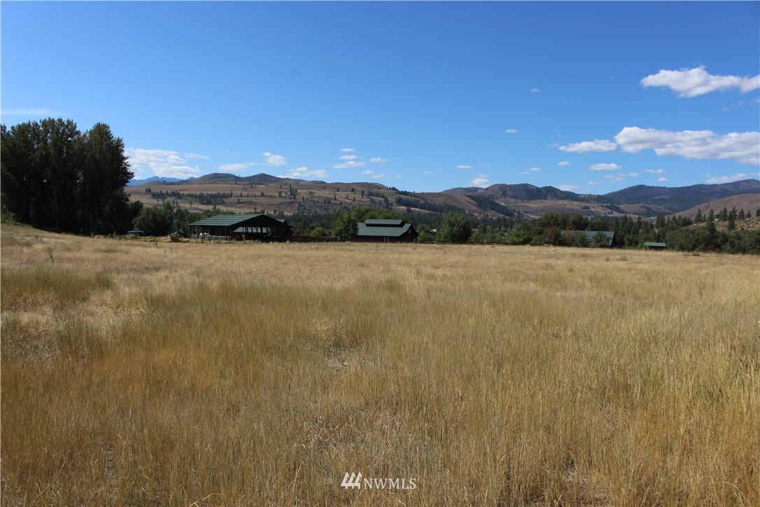 659 Twisp-Winthrop Eastside Road Winthrop, WA 98862 - Photo 10 of 22 Gallery Image 10