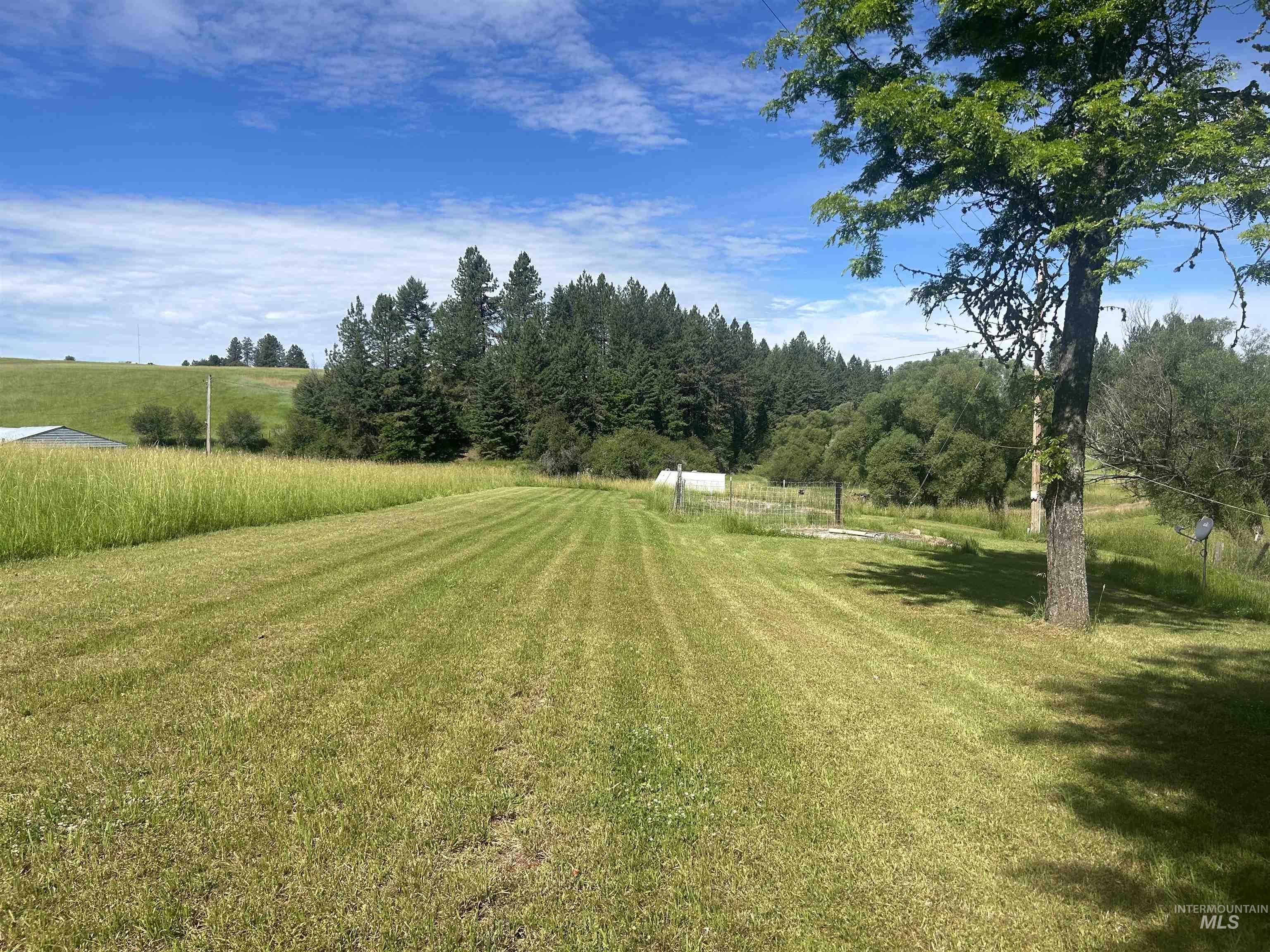 698 Leitch Creek Road Kooskia, ID 83539 - Photo 45 of 45 Gallery Image 45