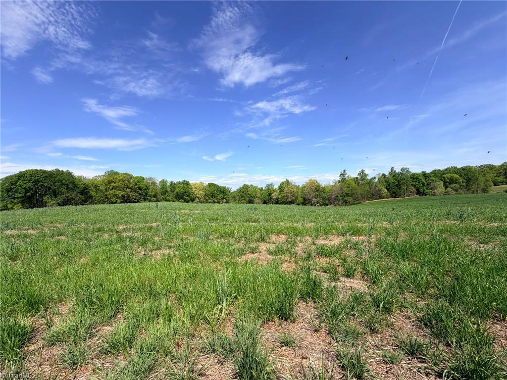 0 Powell Bridge Road Harmony, NC 28634 - Photo 19 of 20