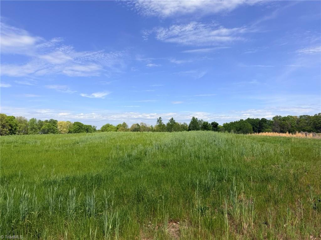 0 Powell Bridge Road Harmony, NC 28634 - Photo 4 of 20