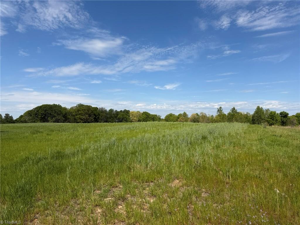 0 Powell Bridge Road Harmony, NC 28634 - Photo 8 of 20