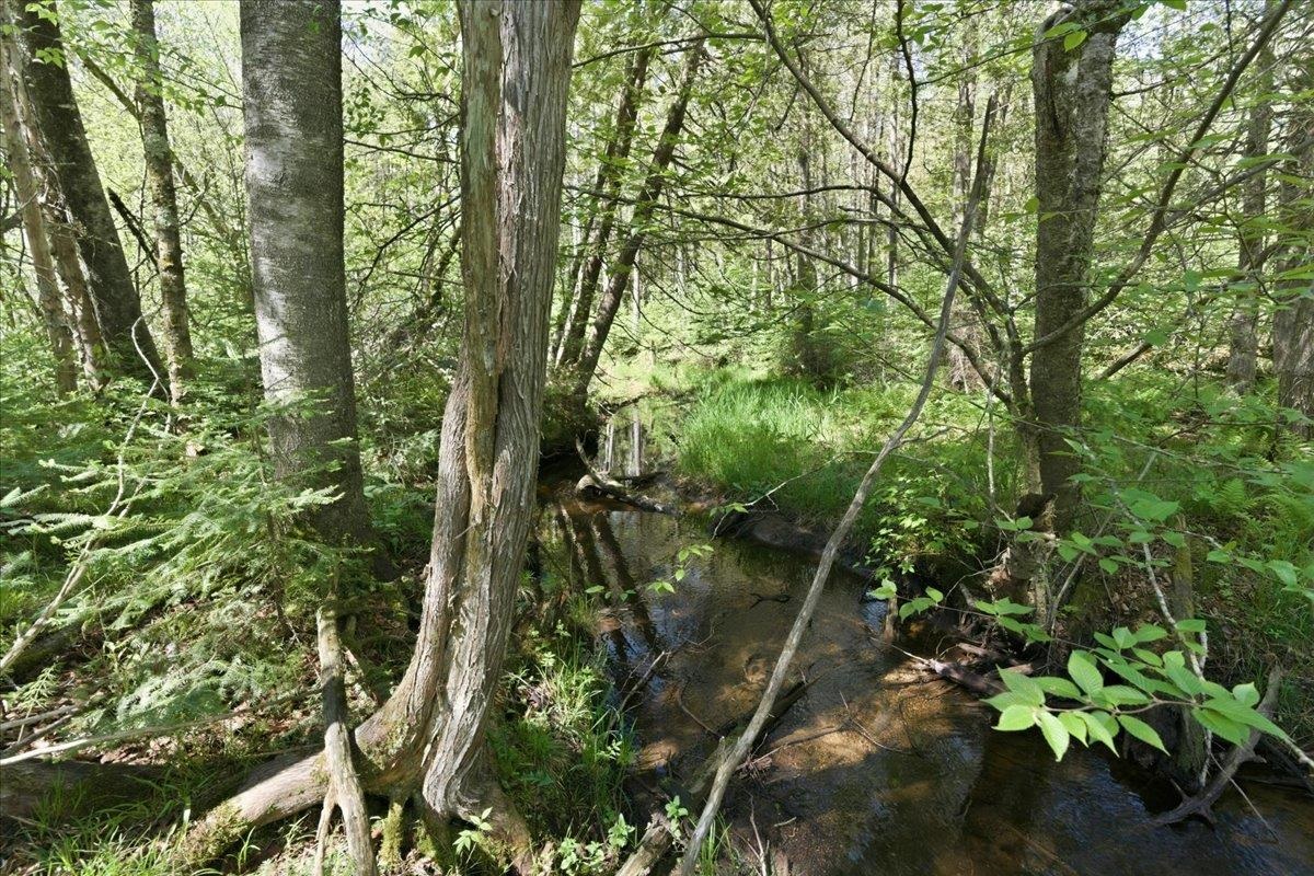 0 County Highway J Deerbrook, WI 54424 - Photo 10 of 78