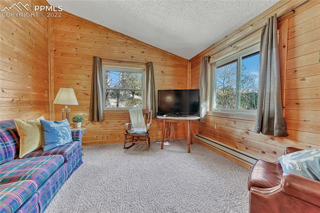 1264 Ridge Road Divide, CO 80814 - Photo 13 of 41