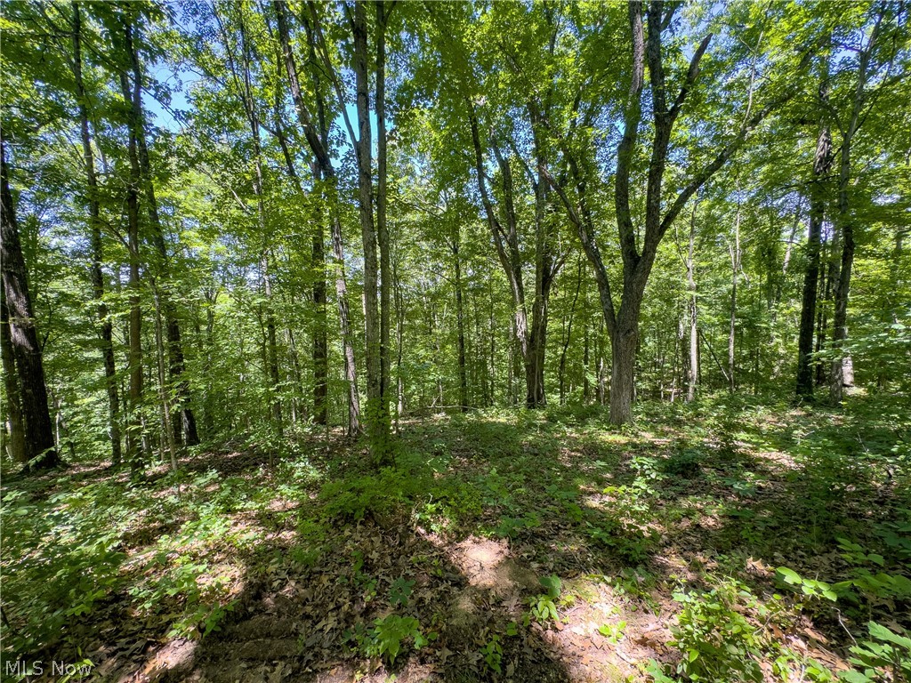 0 Long Hollow Road Pomeroy, OH 45769 - Photo 16 of 31