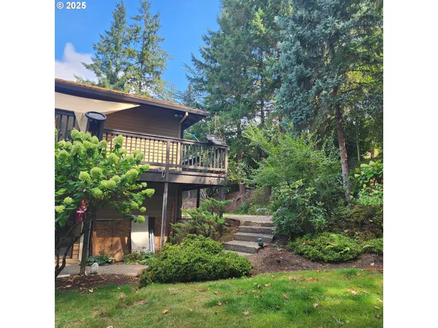 a view of a backyard with table and chairs potted plants and large tree