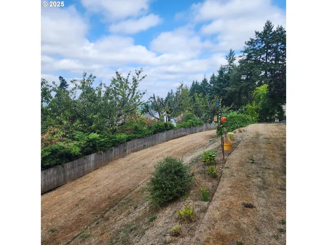 a view of a road with plants and a yard